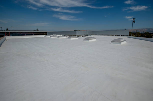 Best Rubber Roofing (EPDM, TPO)  in Winnebago, IL