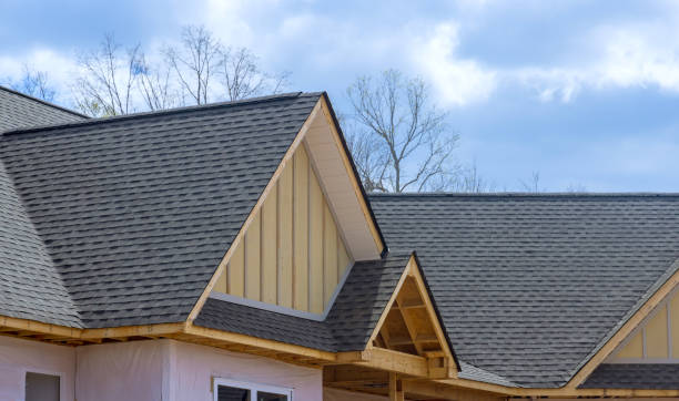 Best Roof Insulation Installation  in Winnebago, IL